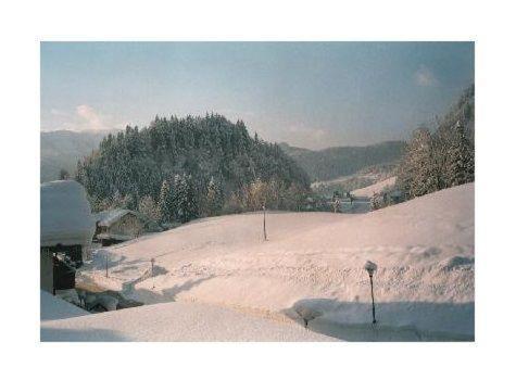 Sport-Alpin-Wohnung-1 Oberstdorf Dış mekan fotoğraf